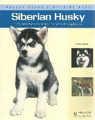 Siberian Husky