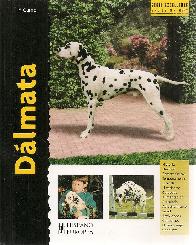 Dalmata