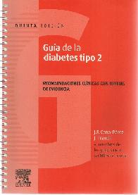 Guía de la diabetes tipo 2