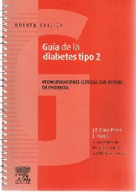 Gua de la diabetes tipo 2