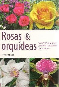 Rosas & Orqudeas