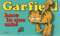 Garfield 9 hace lo que sabe