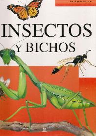 Insectos y bichos