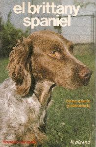 El Brittany spaniel como criarlo y adiestrarlo