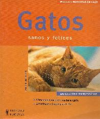Gatos sanos y felices