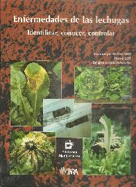 Enfermedades de las lechugas identificar, conocer, controlar