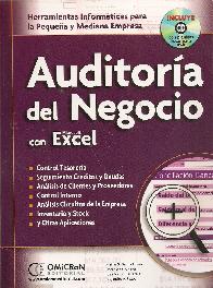 Auditora del Negocio con Excel  Microsoft