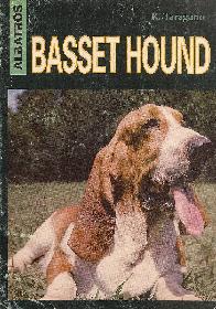 Basset Hound