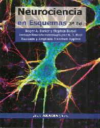 Neurociencia en esquemas