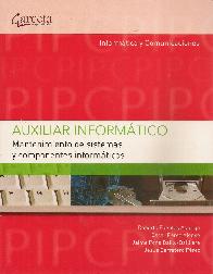 Auxiliar Informtico