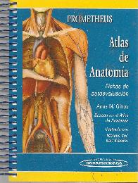 Atlas de Anatomia Prometheus