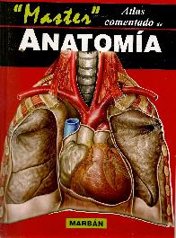 Master Anatoma