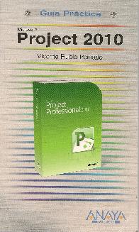 Microsoft Project 2010