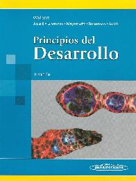 Principios de desarrollo