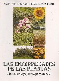 Las enfermedades de las plantas