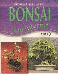 Bonsai de Interior