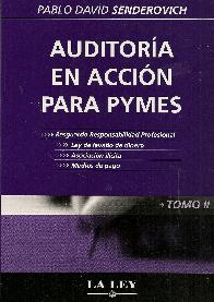 Auditoria en Accion para Pymes 2 Tomos