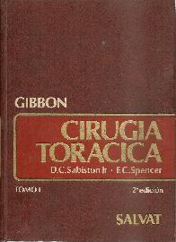 Cirugia toracica 2 Tomos