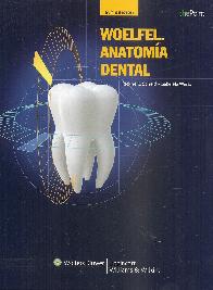 Woelfel Anatomía Dental