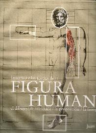 Figura Humana