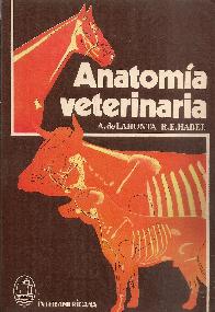 Anatoma Veterinaria