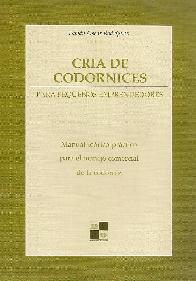 Cria de Codornices