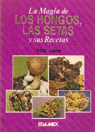 Los hongos, las setas y sus recetas