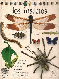 Los insectos