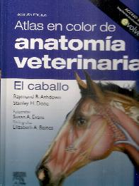 Atlas en color de anatoma veterinaria El Caballo