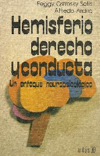 Hemisferio derecho y conducta