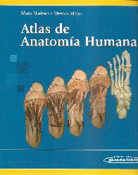 Atlas de Anatoma Humana