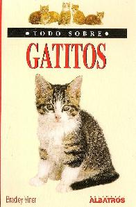Todo sobre Gatitos