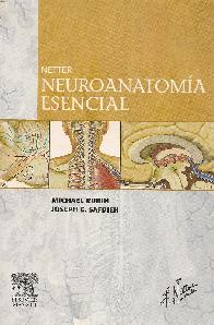 Neuroanatomia esencial Netter