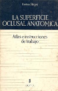 Superficie oclusal anatomica, la