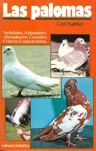 Las Palomas