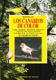 Los canarios de color
