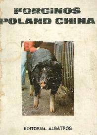 Porcinos Portland China