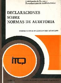 Declaraciones sobre auditoria T I