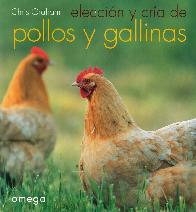 Eleccin y cra de pollos y gallinas