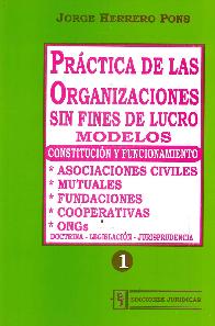 Prctica de las Organizaciones sin Fines de Lucro Modelos 2ts