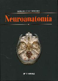 Neuroanatoma