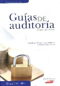 Guas de Auditora ( versin profesional )