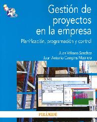 Gestin de proyectos en la empresa