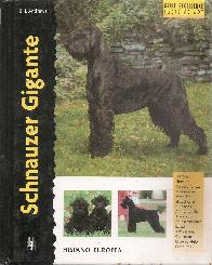 Schnauzer Gigante