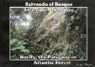 Salvando el Bosque Atlantico Paraguayo