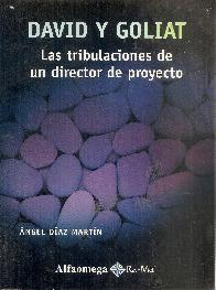 Las tribulaciones de un director de proyectos - David y Goliat