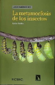 La metamorfosis de los insectos