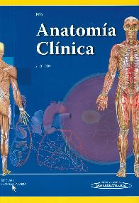 Anatoma Clnica