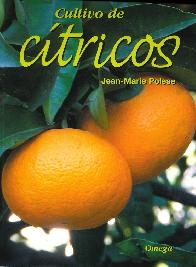 Cultivo de ctricos