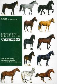 Enciclopedia Mundial de los Caballos